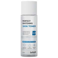 브리올옴므 퍼펙트 화이트닝 스킨 남성 스킨/토너, 1개, 120ml