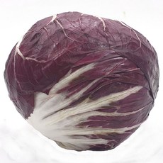 야채왕 라디치오 1통 이탈리안 치커리 래드치커리(300~400g), 300g, 1개