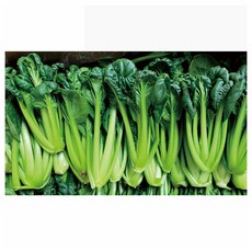 야채왕 비타민 2kg (실중량 1.8k~2.0k ) 다채 비타민 채소 이유식, 2000g, 1개