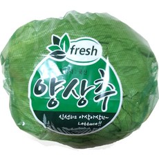 야채왕 양상추 1통, 1개