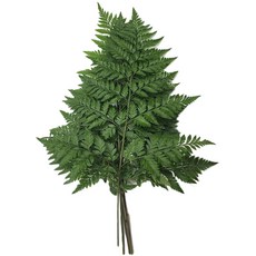 야채왕 생노무라 1단, 1개