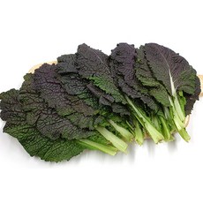 야채왕 적겨자 100g /300g/ 1kg /2kg 박스(1.8~2kg), 2kg, 1개, 2kg