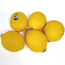 야채왕 레몬 10개