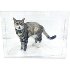 [CU메디칼] 아크릴산소방 단품 / 강아지 고양이 네블라이저방 가능 / 주문제작 가능, 기본사이즈(기본형 3T), 1개