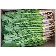 야채왕 국내산 싱싱한 열무 중량별, 열무4kg 무배, 1개, 4k