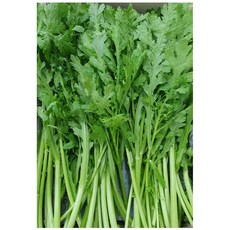 야채왕 싱싱한 쑥갓 4kg(3.8~4kg) 박스, 1개