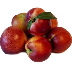 [경산산지직송] 14브릭스(정품)프리미엄 신비복숭아 중소과 1kg (고당도)[농부김작가], 1개, 신비복숭아 1kg(중소과)(11~16과)