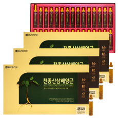 HnF 종근당 천종산삼배양근 국내산100% 산삼배양근 6년근홍삼 영양에너지앰플, 20ml, 3세트