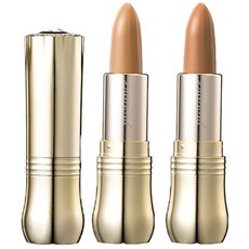 (보니따) 컨실러 잡티커버 립스틱타입 오토타입 결점커버, 21호 라이트베이지, 1개