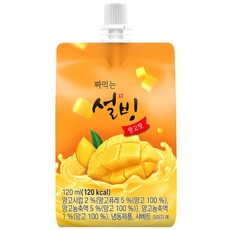 짜먹는 설빙 망고맛 120mlx 9개입_아이스크림, 9개, 120ml