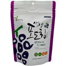 자연트리 동결건조과일 생생포도칩 30g, 1개