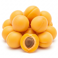 [디어브릭스] 산지직송 고당도 햇 노지살구 살구 새콤달콤 과즙폭발, 1개, [실속형 고당도] 햇 노지 살구 중소과 5kg