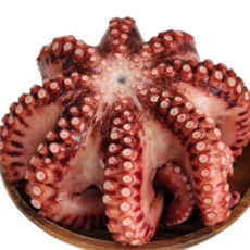 자숙문어 대짜 참문어 1미 자숙 후 1kg급 제수용 대사이즈 냉동문어 원물 1.3-1.5kg급, 1개, 1kg내외