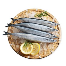 비비수산 꽁치 대사이즈 1kg (8-11미), 1개