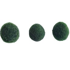 [미초 특가] 마리모 (대형) 3개 / 어린이선물 / 인테리어 / 수경식물 / 새우 수초 / 모스볼 / 마리모