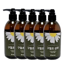 들꽃잠 구절초 샴푸, 300ml, 5개