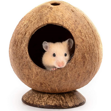 그린허그 햄스터 코코넛 은신처, 1개