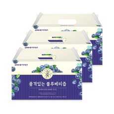 GNM자연의품격 품격있는 블루베리즙, 90개, 70ml