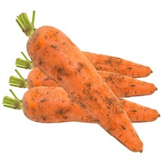 [재구매율1위]제주맛 달콤아삭 최고급특수농법 명품 흙당근, 1박스, 옵션3-3kg 내외(중)