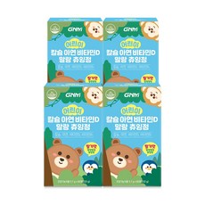 GNM 어린이 칼슘 아연 비타민D 말랑 츄잉정 / 비타민B 칼슘제 키즈칼슘, 4박스, 60정