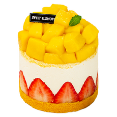(평일 낮 12시전 주문 오늘출발) 케익팩토리 망고딸기케이크 망딸다담, 620g, 1개