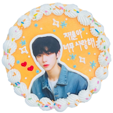 (평일 낮 12시전 주문 오늘출발) 케익팩토리 옐로스냅포토, 420g, 1개