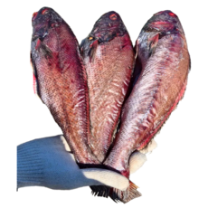 국내산 손질 참민어 300g 이상(하루동안 자연 건조 후 1미씩 진공포장), 1개, 300g이상