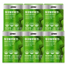 GNM자연의품격 징코 빌로바11 30정, 6개