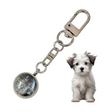 강아지 메모리얼 털 보관 키링 고양이 선물 캡슐 추모 펫로스