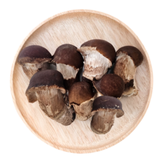 정담 [하진이네] 산지직송 무농약 GAP 참송이버섯, 1개, 못난이 1kg