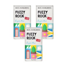 퍼지락 런던에디션 무설탕 자일리톨 캔디 잉글리쉬민트 (틴), 3개, 35g