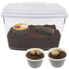 벅스앤미 장수풍뎅이 유충기르기 두마리 풀세트 (성충용품 포함), 1세트