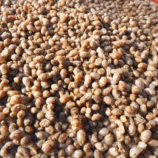 국내산 냉동 오만둥이 오만디 만득이, 1개, 1kg, 생물오만둥이