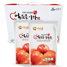 햇빛식품 밀양 얼음골 사과즙, 110ml, 50개