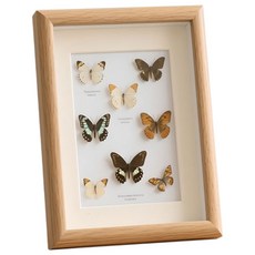 살림백과 3D입체 우드 액자프레임 포토테이블 액자 6x8인치, 3D입체우드8인치원목, 1개