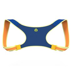 aoFIT 어깨 교정밴드 가볍고 편안한 인체공학 바른 자세 교정 밴드, 1개, 블루