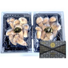 자연산 송이버섯 냉동 1.5kg(750g+750g) 프리미엄 버섯선물세트 명절선물 설선물 추석선물 며느리약초, 1개