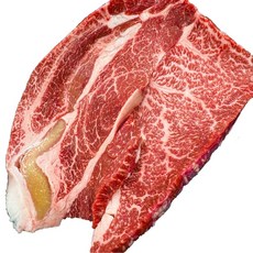 한우 등심 투뿔 ++1(9)등급 살치살 등심 한우 구이용, 1개, 1kg