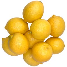 레몬 1kg~3kg 팬시레몬 초이스레몬 레몬에이드 레몬청, 초이스 레몬 3kg(24~30과), 1개