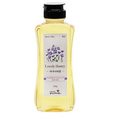 설악산허니팜 아카시아꿀, 500g, 1개