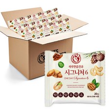 너츠브라더 하루한줌견과 시그니처6 낱봉 110봉, 110개