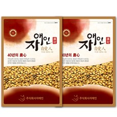 자애인 국산 보리차 1kg (500gX2개) 개별포장 볶은보리차 볶은보리 국산 100%, 1세트, 500g
