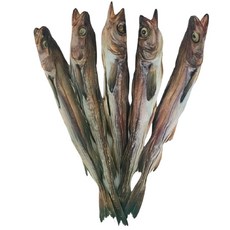 강원도 국내자연건조 언바람 묵호태 프리미엄 명품 고사용 북어 통북어 특대 48~52cm 10미 먹태, 1개, 특대(48~52cm)