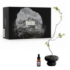 티슬 화분 스톤 디퓨저 화산석 아로마 오일 집들이 선물 세트 홈데코, 1개, 오드우드(톰포드향)