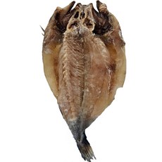 (100%국내산) 반건조 특대 활복민어, 1개, 반건조 특대 활복민어 1미