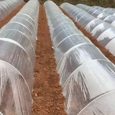 히로비 끈질긴 농업용 하우스 장수 비닐 0.05mm x 2m x 10m, 2개