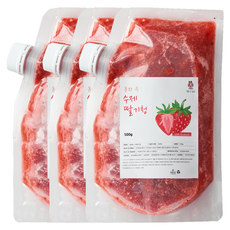 동화속딸기 국산 자일로스 수제 프리미엄 딸기청, 1개, 3개입, 500g