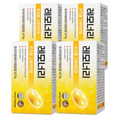 [공식] 고체레몬즙 레모너리, 4개, 60정