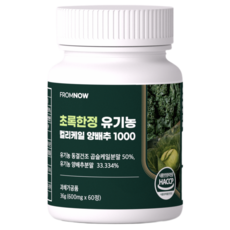 프롬나우 초록한정 유기농 컬리케일 양배추 1000, 1개, 60정