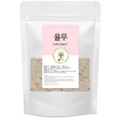 천연팩 생 율무가루 100g 숲으로허브 곡물팩 율무팩, 5개, 1개입